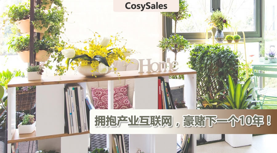 CosySales将成为企业级产业互联网平台的联合创业伙伴