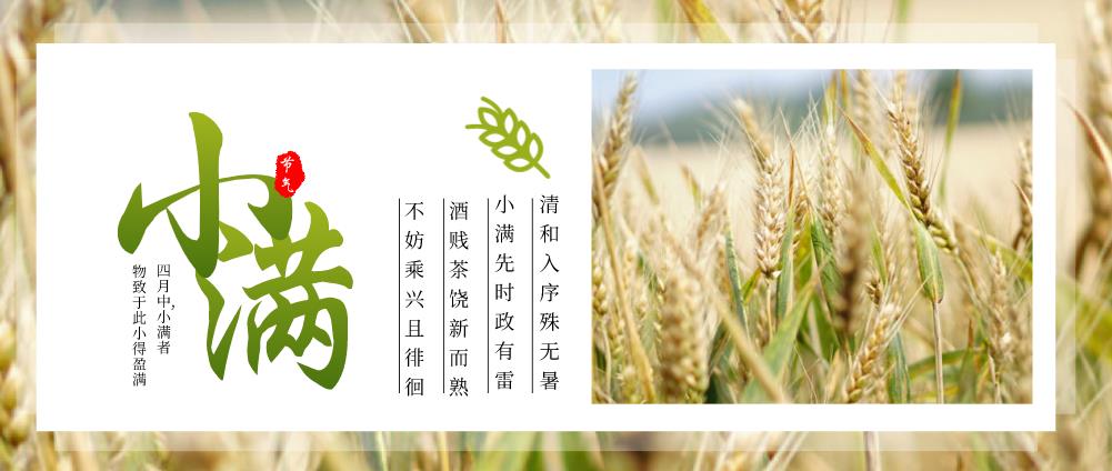 小满，是人生最好的状态！